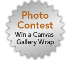 Photo Contest - Win a Canvas Gallery Wrap